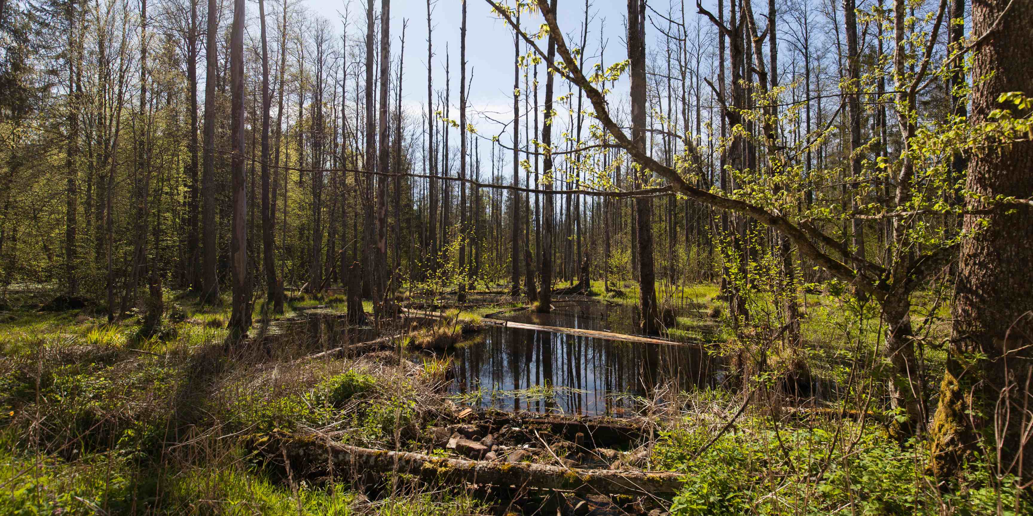 Dlaczego warto odwiedzić atrakcje w Polsce