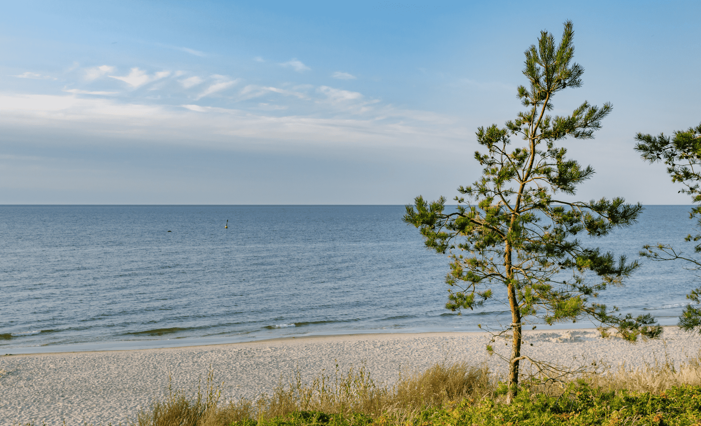 krynica morska pogoda