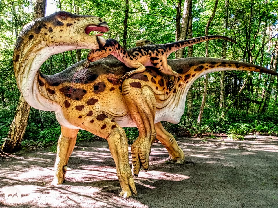 Park Dinozaurow Leba Park