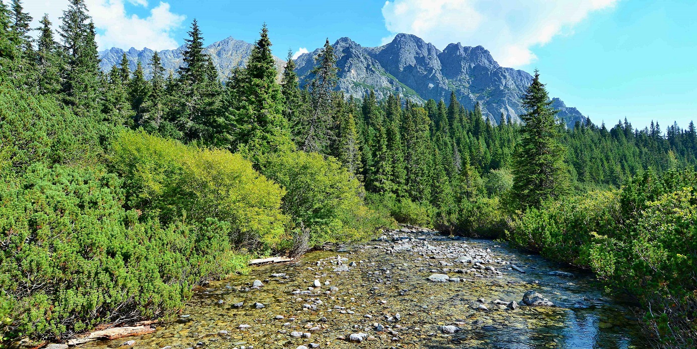 Tatry wysokie