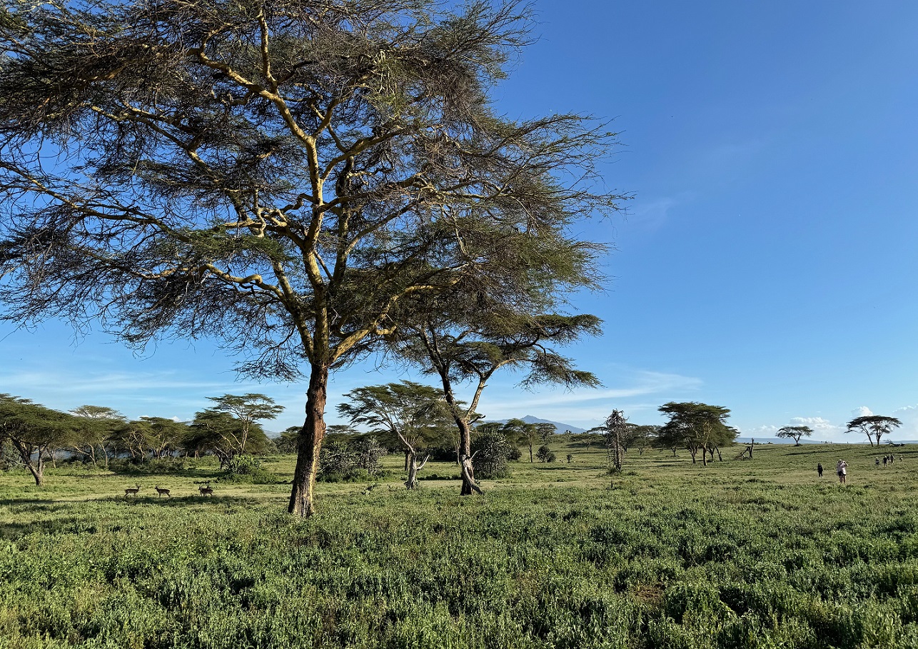 Crescent Island Kenia atrakcje
