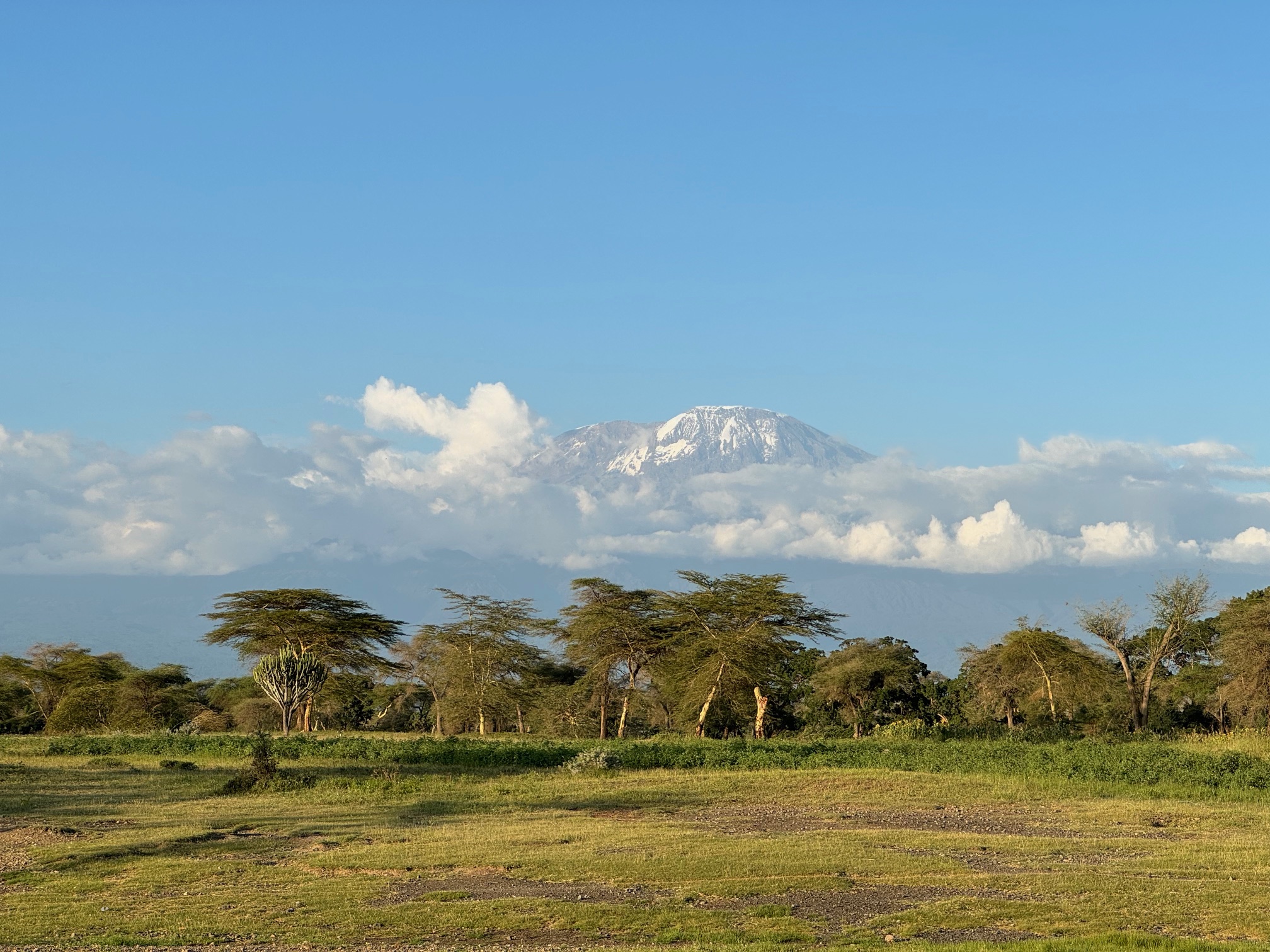 Kilimandżaro Tanzania