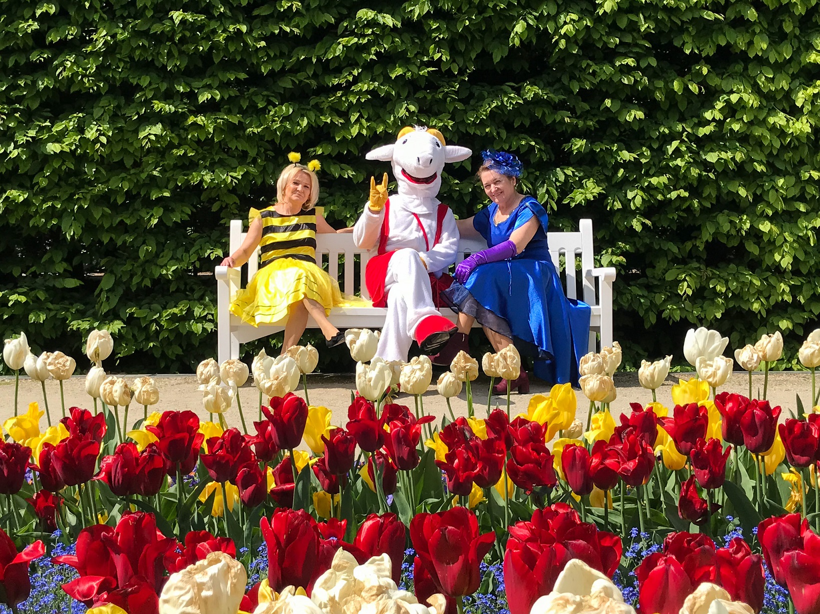 europejskie centrum bajki Pacanów