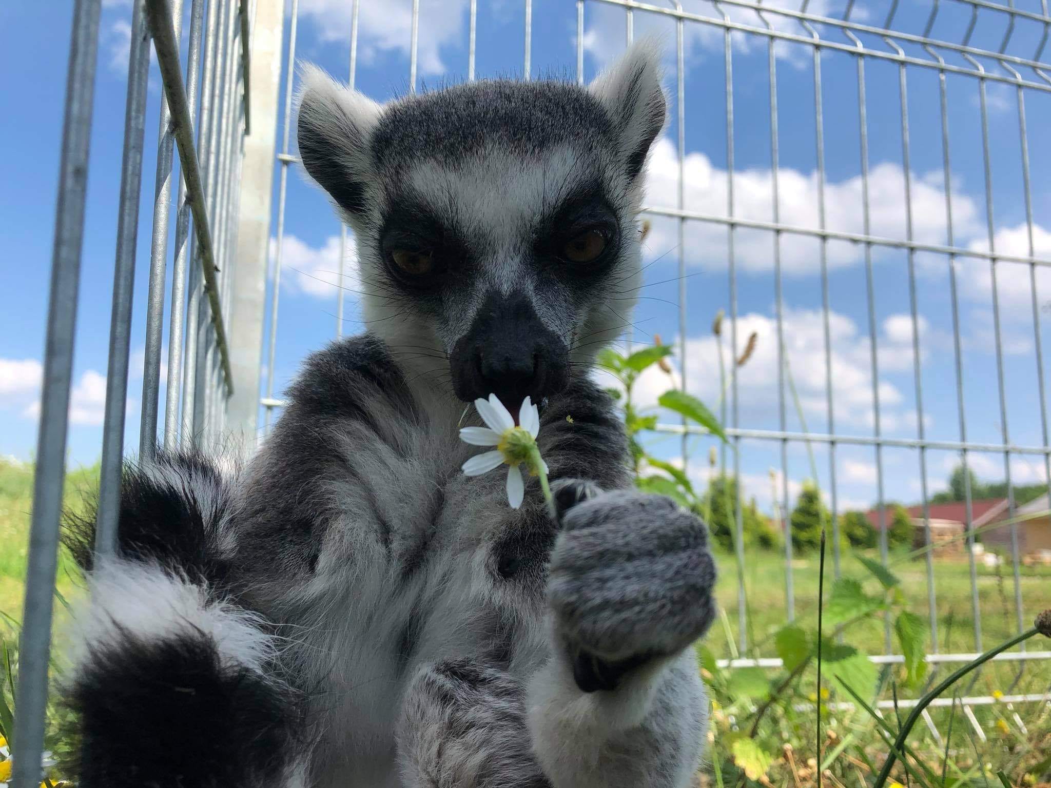 deli park parki rozrywki