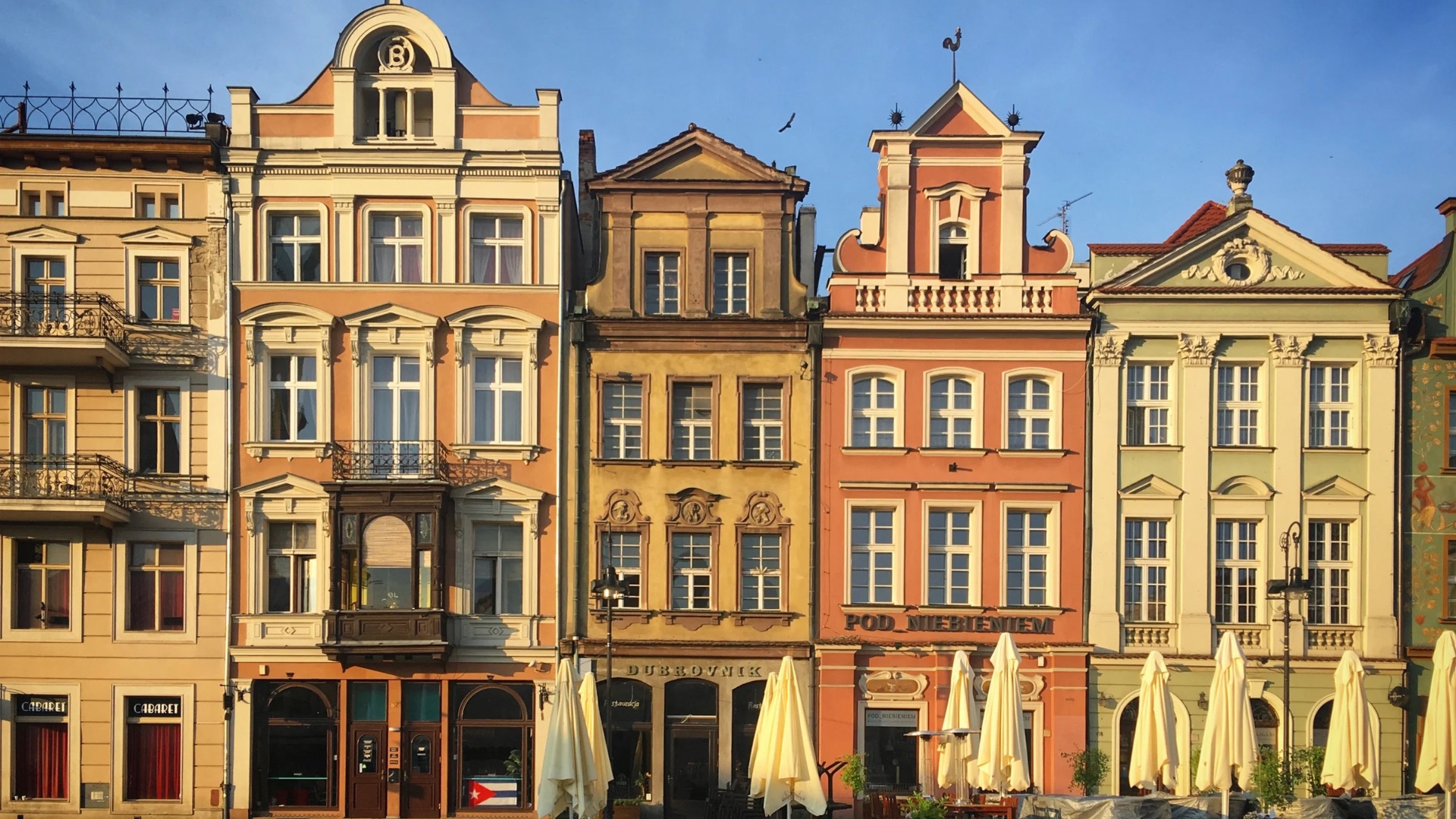 Wycieczki szkolne Poznań