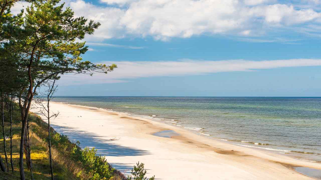 Kopia White Elegant Red Bow Gift Voucher Gift Certificate 3