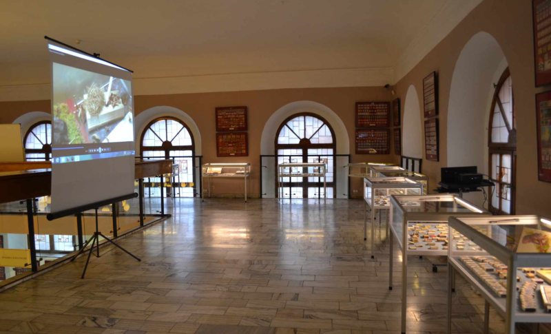 Muzeum Filumenistyczne