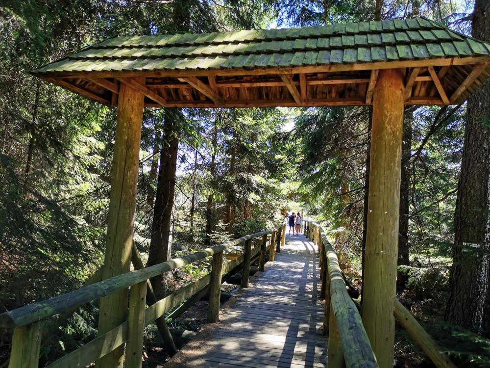 Niebieska pętla przez Góry Stołowe – klasyk na długie wyprawy (127 km)