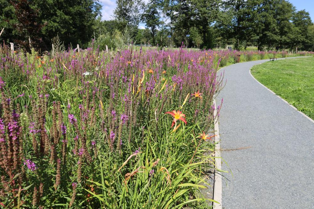 Geopark Kamienny Trakt