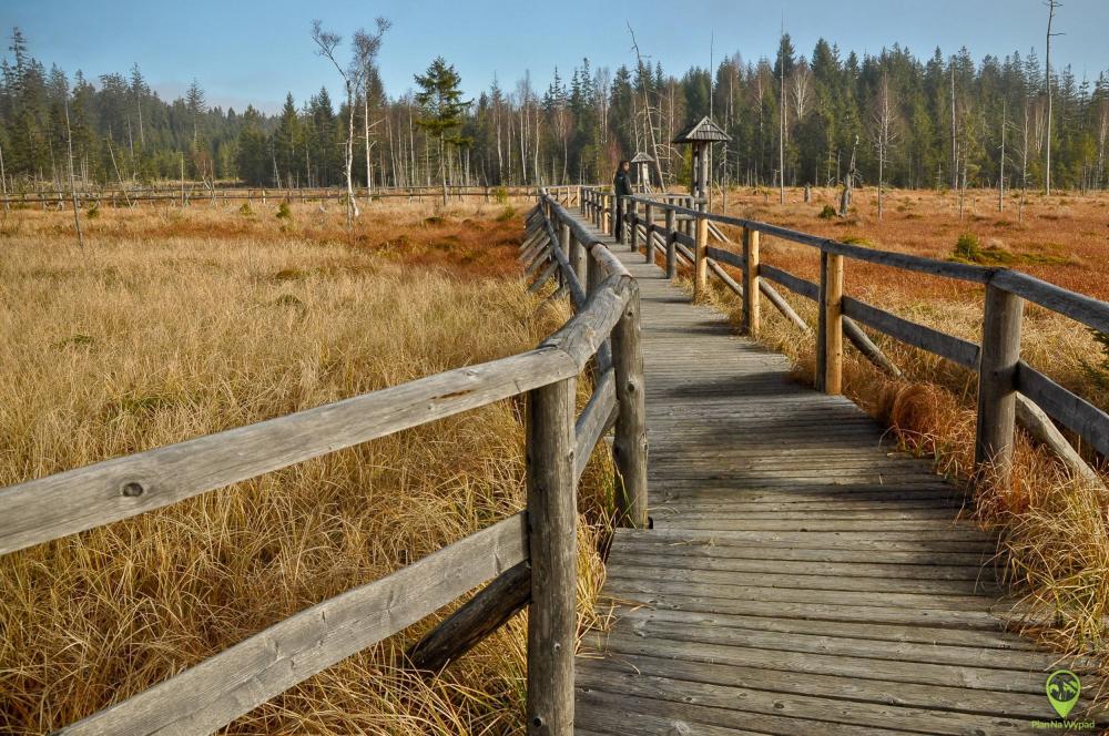Torfowiska pod Zieleńcem