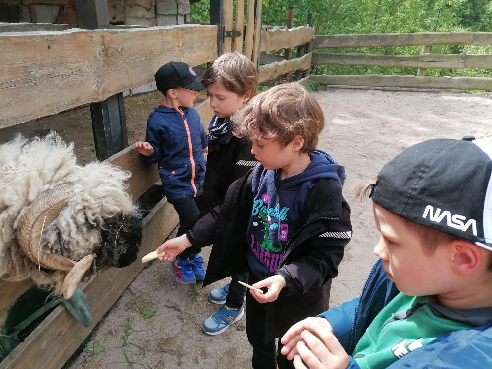 Zagroda Studzienno&Agroturystyka