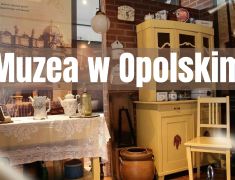 Muzea-w-Opolskim-ktore-warto-odwiedzic?